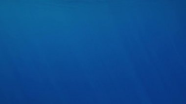 Deniz yüzeyinde parlayan güneş ışınlarının 4k yavaş çekim sualtı video