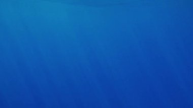 Yüzeyde parlayan koyu mavi deniz suyu ve güneş ışını su altında güzel video