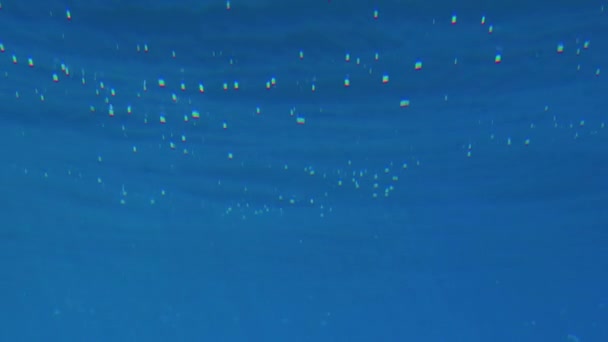 4k замедленное движение под водой видео солнечных лучей, сияющих через поверхность моря — стоковое видео