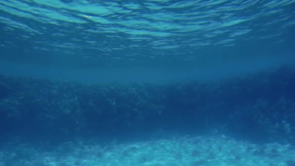 4k onderwater beelden van de zeebodem met koralen die op zand groeien — Stockvideo