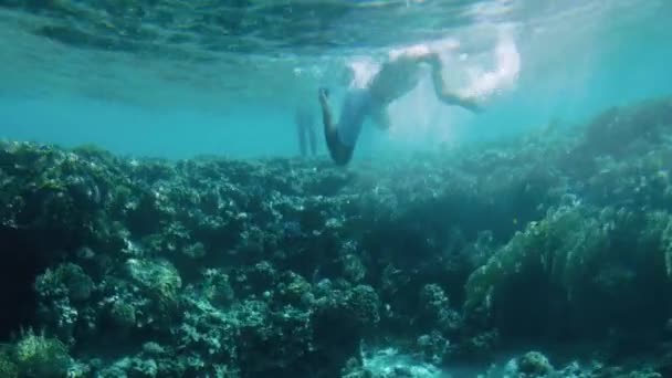 4k imágenes submarinas de personas nadando alrededor de los arrecifes de coral. Eso está prohibido y puede dañar la naturaleza marina — Vídeo de stock