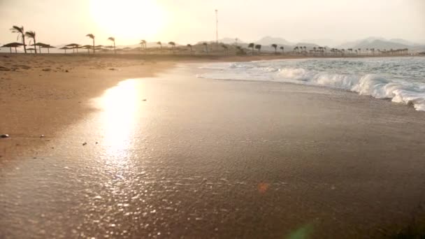 Медленная съемка прекрасного заката над морскими волнами на золотом пляже — стоковое видео