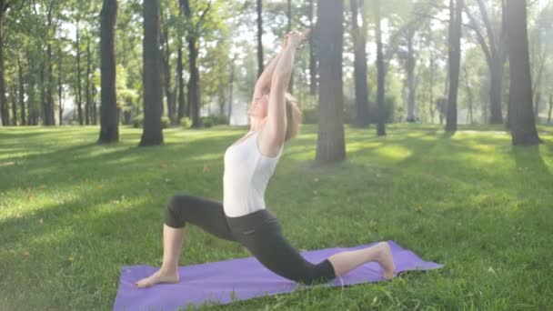 4k video al rallentatore di bella donna sorridente di mezza età che fa esercizi di yoga e stretching nel parco. È molto utile per la salute mentale e fisica. Persone che si rilassano nella natura — Video Stock