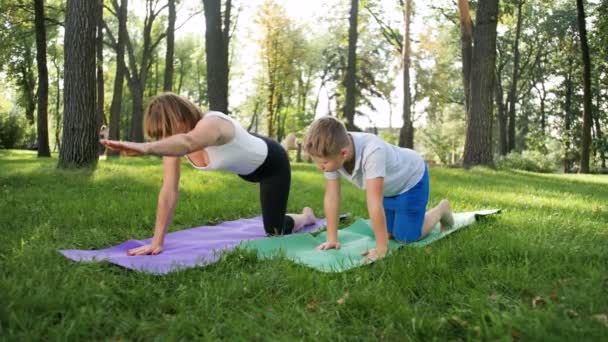 4k video en cámara lenta de la madre con un adolescente practicando yoga y meditando en el parque en el soleado día de verano — Vídeos de Stock