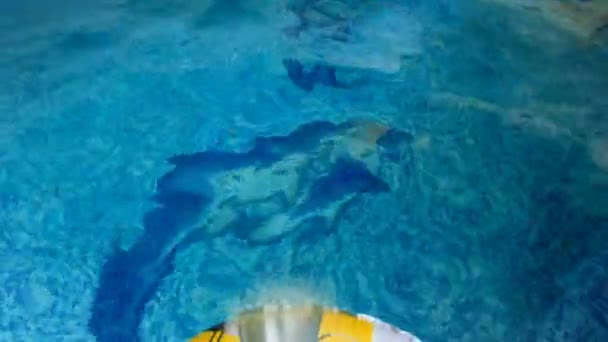 4k footage of camera diving in swimming pool through inflatable colorful ring — Stock Video