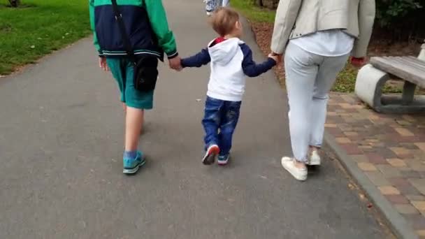 4k відео щасливої сім'ї з маленьким хлопчиком тримається руками і ходить в парку — стокове відео