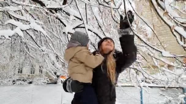 4k video de feliz niño riendo con la madre joven de pie bajo el árbol cubierto de nieve y sacudiendo sus ramas. Nieve cayendo sobre familia alegre — Vídeo de stock