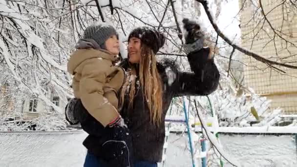 4k video de feliz niño riendo con la madre joven de pie bajo el árbol cubierto de nieve y sacudiendo sus ramas. Nieve cayendo sobre familia alegre — Vídeo de stock