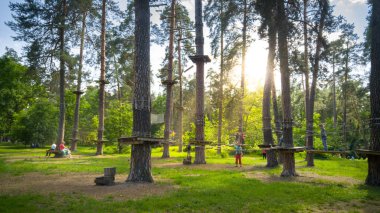 Parkta çam ağaçları arasında asılı halatlar ve köprüler güzel bir görüntü. Ormanda çocuklar ve yetişkinler için macera şehri
