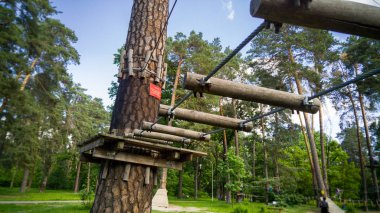 Parkta çam ağaçları arasında asılı halatlar ve köprüler güzel bir görüntü. Ormanda çocuklar ve yetişkinler için macera şehri
