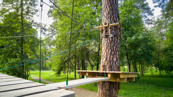 Image of wooden bridges and platforms built on pine trees in park. Extreme rope adventure park for walking and climbing — Stock Photo, Image