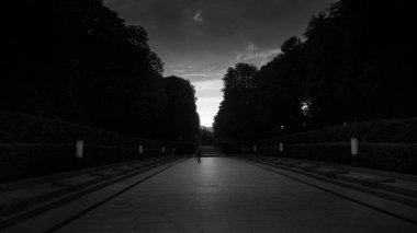 Gün batımında parkta ağaçlar ile uzun sokak siyah ve beyaz görüntü