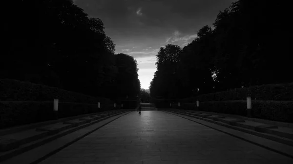 Imagem em preto e branco de beco longo com árvores no parque ao pôr do sol — Fotografia de Stock