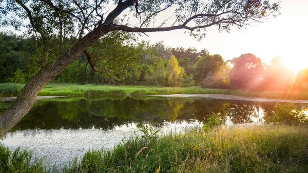 Schöne Sonnenaufgangslandschaft über dem kleinen See auf der Waldwiese — Stockfoto