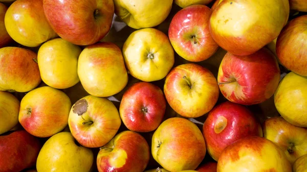 Imagen de primer plano de muchas manzanas rojas y amarillas en el mostrador de la tienda. Textura de primer plano o patrón de frutas frescas maduras. Hermoso fondo de comida — Foto de Stock