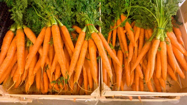 Nahaufnahme Bild von frischen reifen Möhren liegen in hölzernen Kästen auf der Theke im Geschäft. Nahaufnahme Textur oder Muster von frischem reifem Gemüse. schöne Lebensmittel Hintergrund — Stockfoto