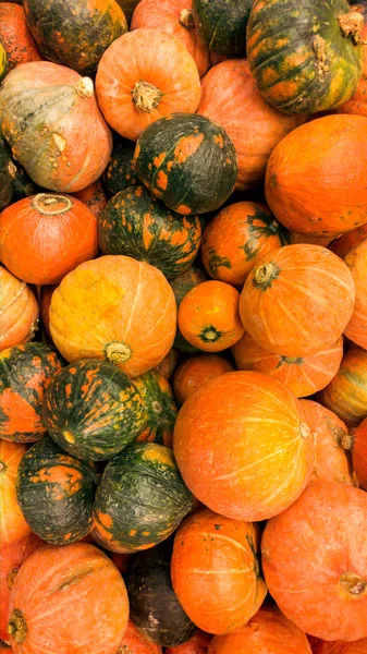 Foto close-up labu oranye di soter.Closeup tekstur atau pola sayuran matang segar. Warna makanan yang indah — Stok Foto