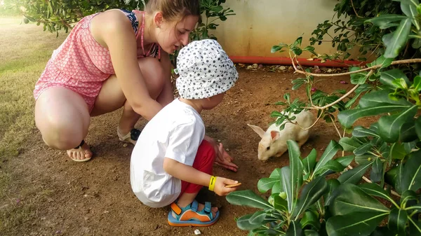 Ibu muda yang cantik dengan anak kecilnya memberikan makanan untuk kelinci putih lucu di peternakan — Stok Foto