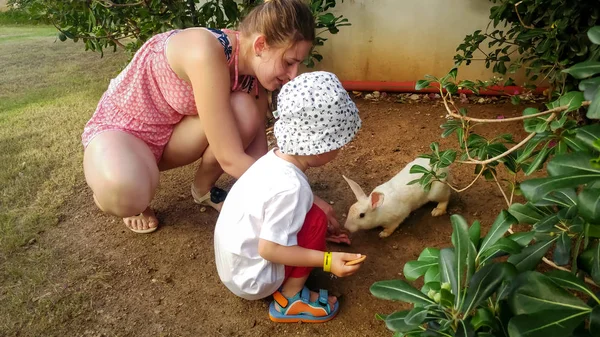 Keluarga bahagia dengan anak laki-laki kecil makan kelinci putih di peternakan — Stok Foto