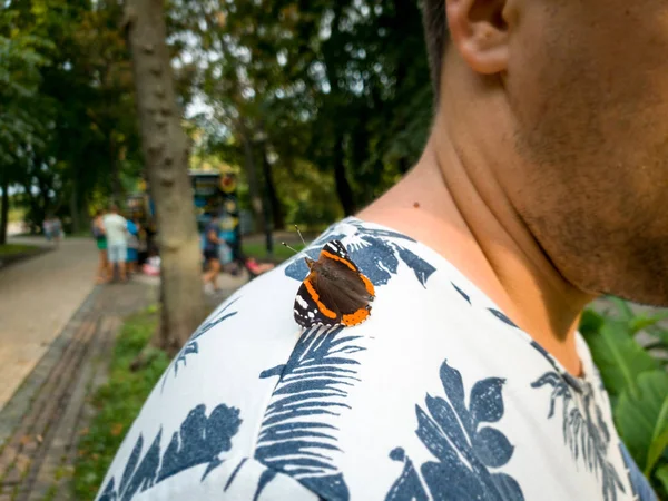 Imagen tonificada de primer plano de la hermosa mariposa sentada en el hombro de los hombres —  Fotos de Stock