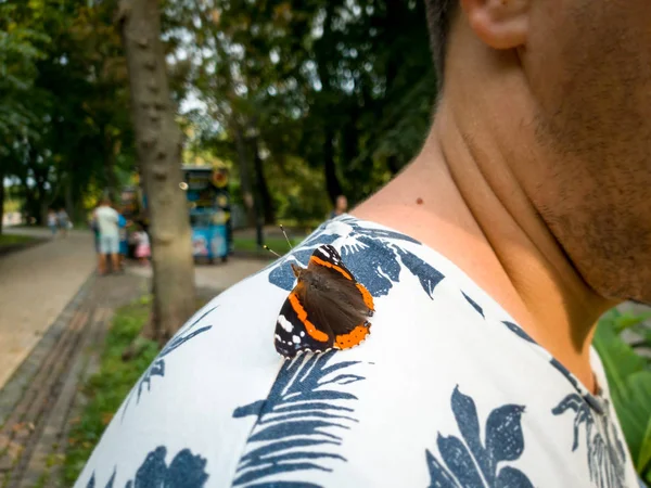 Macro image of beautiful orange butterfly sitting on persons shoulder at park