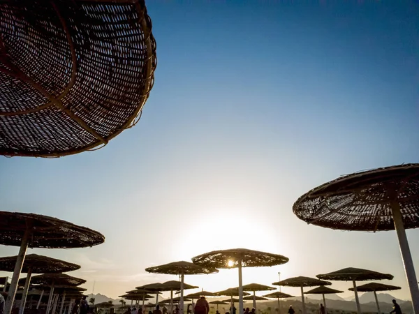 Slihouette imagen de sombrillas de protección solar hechas de paja en la playa del mar contra el cielo azul brillante —  Fotos de Stock
