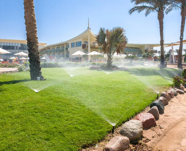 Imagem de lotes de água do jardim aspersores água belo gramado de grama verde e palmeiras na praia de verão hotel resort — Fotografia de Stock