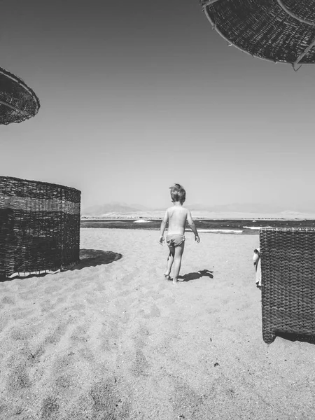 Czarno-biały obraz małego chłopca malucha chodzenia na plaży morskiej między leżakami i parasolami. Dziecko relaksujące i dobrze się bawią podczas letnich wakacji. — Zdjęcie stockowe