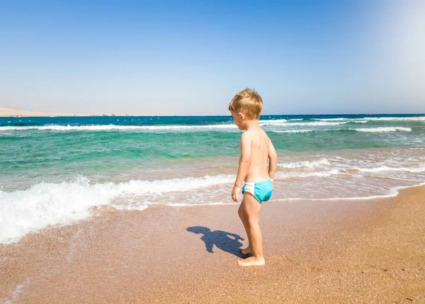 Mały chłopiec maluch chodzenie na plaży i patrząc na spokojne i ciepłe fale morskie. Dziecko relaksujące i dobrze się bawią podczas letnich wakacji. — Zdjęcie stockowe