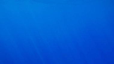 Derin okyanus su yüzeyinde parlayan güneş ve ışık ışınlarının inanılmaz sualtı görüntüsü