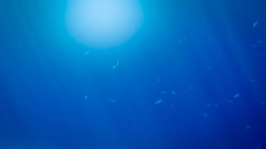 Derin okyanus su yüzeyinde parlayan güneş ve ışık ışınlarının inanılmaz sualtı görüntüsü