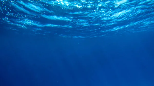 Amazing under water image of swimming fishes and shining sun rays throught the water surface — Stock Photo, Image