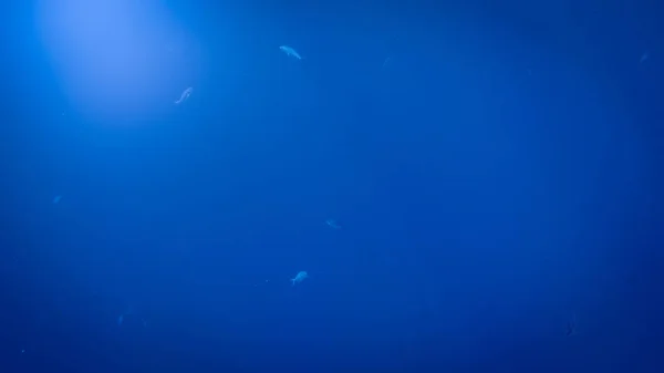 Erstaunliches Unterwasserbild von Sonne und Lichtstrahlen, die durch die Wasseroberfläche des tiefen Ozeans scheinen — Stockfoto