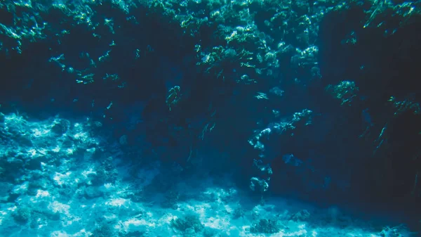 Incrível tiro subaquático de fundo do mar arenoso com recifes de coral coloridos crescentes e peixes de natação — Fotografia de Stock