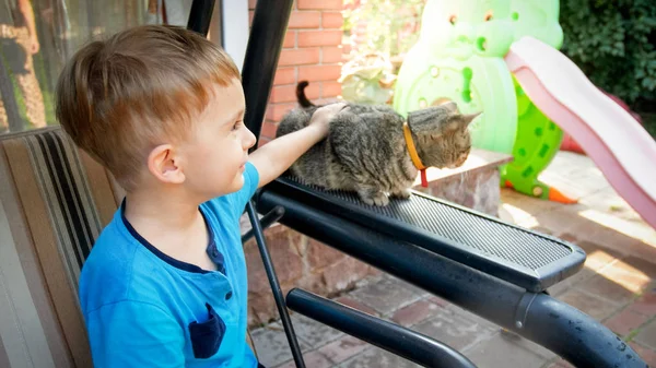 Portrait d'adorable tout-petit garçon avec chat assis sur le banc oscillant à la maison jardin arrière — Photo