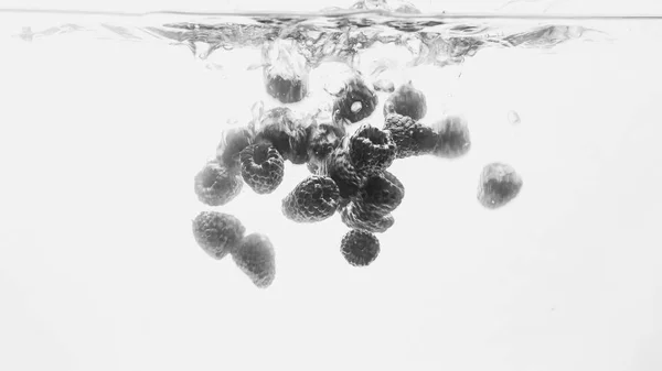 Gros plan noir et blanc image de beaucoup de framboises tombant et éclaboussant dans l'eau sur fond blanc — Photo