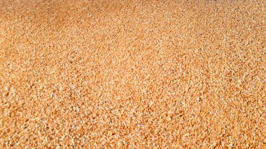 Kumlu deniz sahil kıyısında küçük taşlar ile kum Closeup soyut görüntü