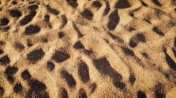 Closeup image of sandy sea beach or desert. Abstract photo of sand — Stock Photo, Image
