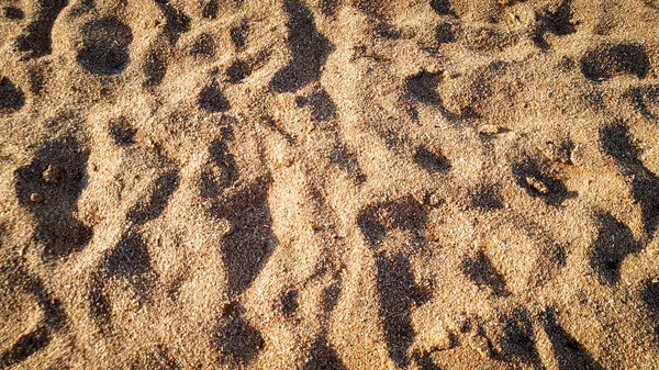 Closeup image of sandy sea beach or desert. Abstract photo of sand — Stock Photo, Image