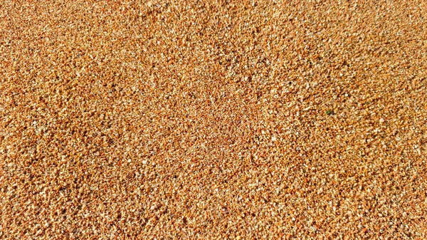 Primo piano immagine astratta di sabbia con piccole pietre sulla spiaggia sabbiosa del mare — Foto Stock