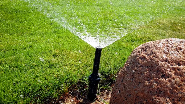 Imagen de primer plano de riego y rociado de agua del rociador automático del jardín — Foto de Stock