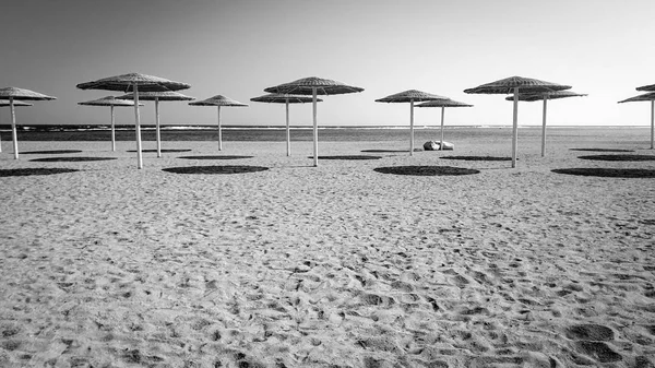 Parlak güneşli bir günde güneşten koruyan şemsiyeler ile boş deniz plajı siyah ve beyaz görüntü — Stok fotoğraf