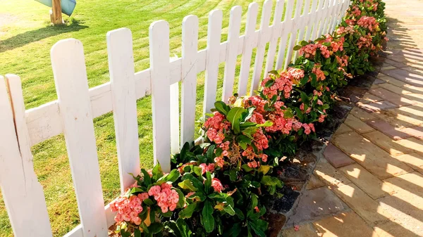 美丽的白色木栅栏和花园花坛的特写图像 — 图库照片