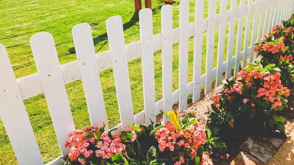 Closeup image of beautiful white wooden fence and flowerbed at garden — Stock Photo, Image