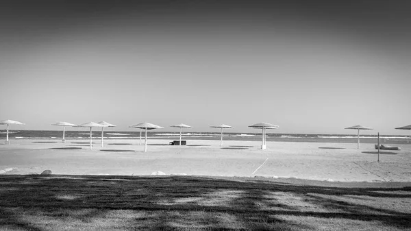 Чорно-біле зображення красивого піщаного морського пляжу з ідеальним газоном — стокове фото