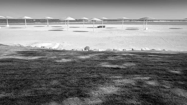 Чорно-біле зображення красивого піщаного морського пляжу з ідеальним газоном — стокове фото
