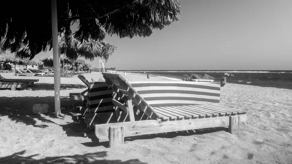 Imagen en blanco y negro de tumbonas vacías o tumbonas en la playa de mar largo en un día soleado brillante — Foto de Stock