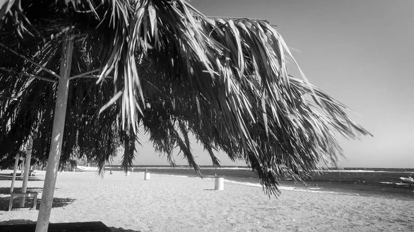 Imagen en blanco y negro de la playa de mar vacía con sombrillas que protegen del sol en un día soleado brillante — Foto de Stock