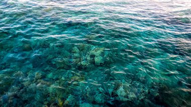 Berrak turkuaz su ile sakin deniz güzel bir görüntü. Deniz dibinde renkli mercanlar ve kayalar