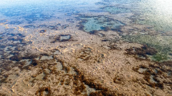 Bellissimo paesaggio di barriera corallina e erbacce marine sulla riva del mare — Foto Stock